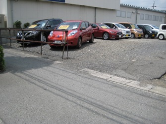 たくさんの試乗車をご用意しております。