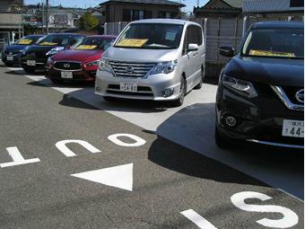 試乗車をお気軽にお試し下さい。