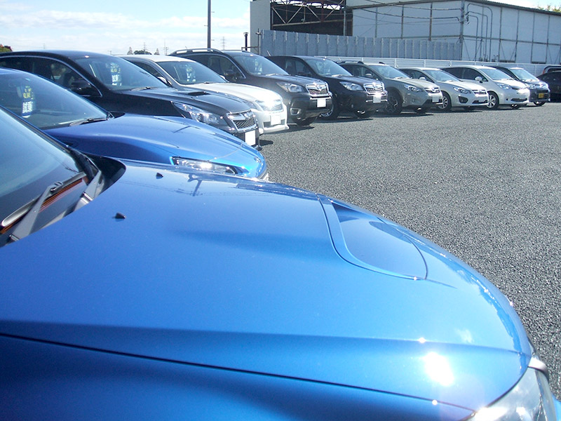 試乗車を多数ご用意しています