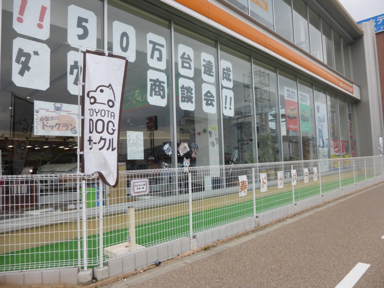 約２０m長いドックランで、走り回って遊んでいただけます。