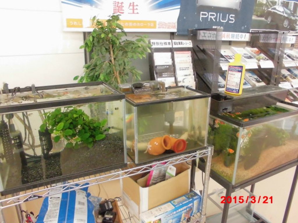 ⑥ ここが大府店の癒しスペースになっております☆