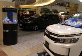 可愛いお魚のいる水槽が目印です