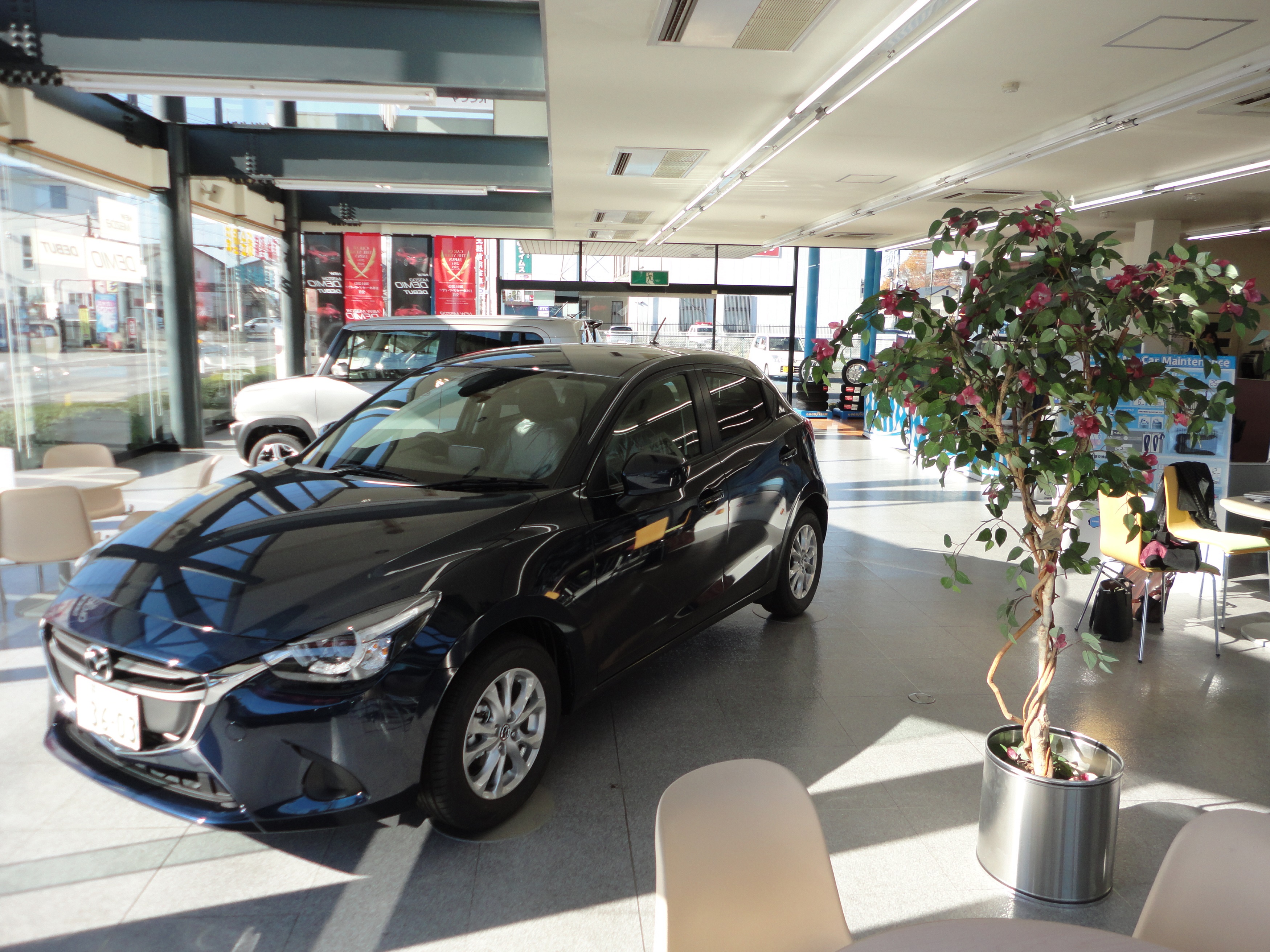 ショールーム①