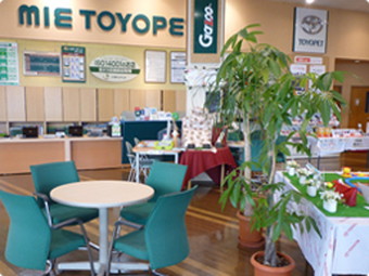 広々した空間の中に落ち着いたグリーンを基調としたショールームです。