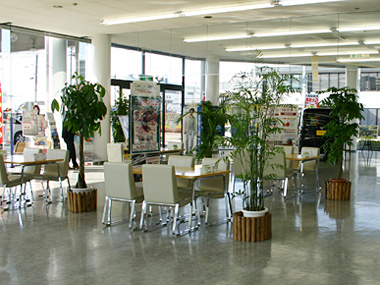 日産の環境への取り組みは周知のところです。環境を配慮した商品開発、生産、営業・サービスなど、この環境コーナーでじっくり話してみませんか?