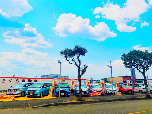 フラット7 さくら自動車宮崎 株式会社さくら興産 の店舗詳細 地図 ディーラーへ行こう New Car マッチ Mota