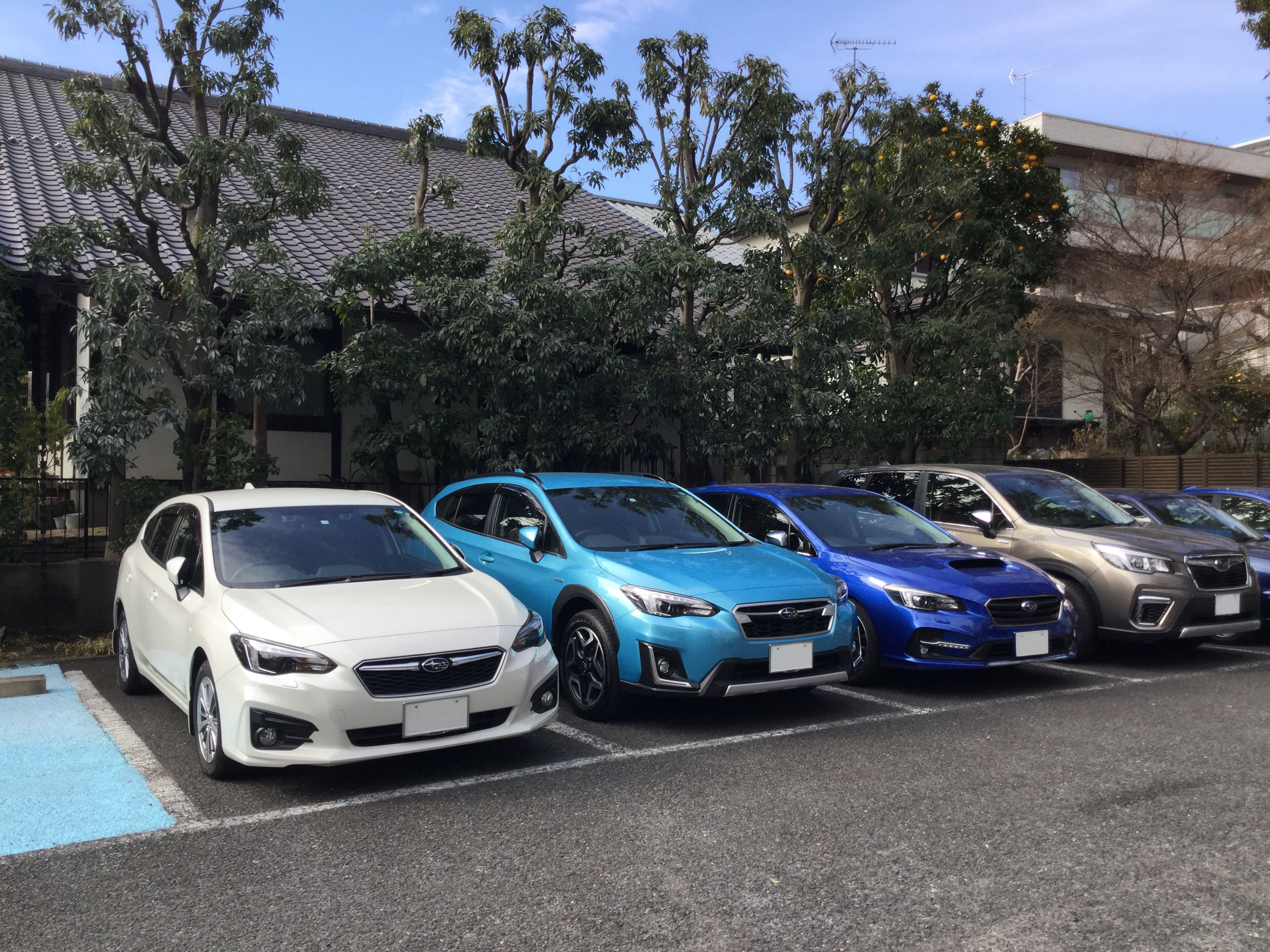 試乗車