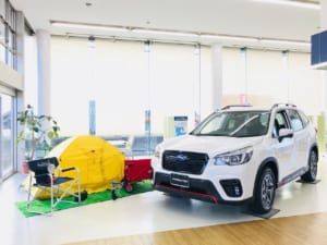 季節に合わせたレイアウトと開放的な店内でお客様に合ったお車をご提案いたします。お気軽にお立ち寄りください!!