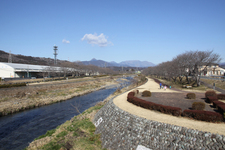 「うるおいてい」[静岡県富士宮市]の店の前を流れる富士川の支流・潤井川(うるいがわ)。桜の名所としても地元に愛されている。