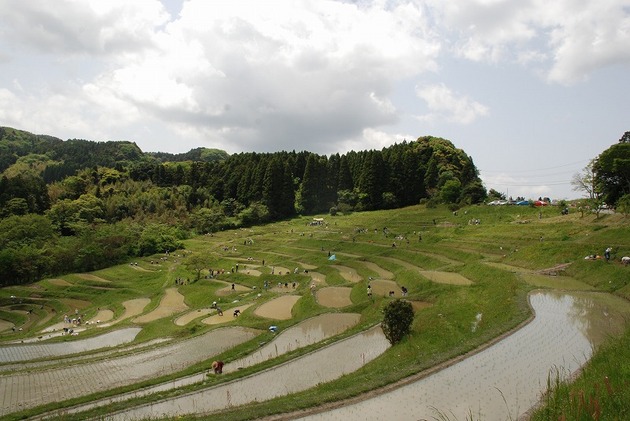 千葉県指定名勝「鴨川 大山千枚田」(千葉県鴨川市)