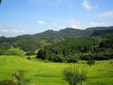 千葉県指定名勝「鴨川 大山千枚田」(千葉県鴨川市)