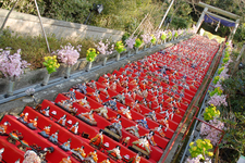 かつうらビッグひな祭り(千葉県勝浦市)