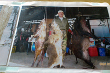 郷土料理 よね[山梨県笛吹市御坂町]当主が狩った猪！