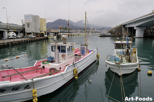駿河湾奥の名産・桜海老で賑わいを見せる静岡県 由比（ゆい）漁港