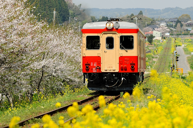 いすみ鉄道　キハ52 125[試運転]