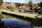 地元では「鱒の家」と呼ばれる静岡県水産技術研究所・富士養鱒場
