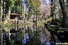 静岡県水産技術研究所　養鱒用の大池