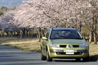 ヒミツの桜スポット[静岡県富士宮市]