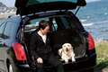 【ahead femme×オートックワン】-ahead 5月号- 自動車評論犬から見た”犬にやさしいクルマ”って？