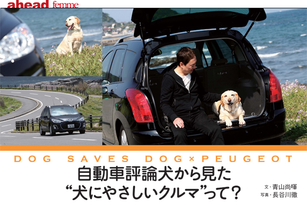 【ahead femme×オートックワン】-ahead 5月号- 自動車評論犬から見た”犬にやさしいクルマ”って？