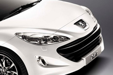 シャイニーブラック・フロントグリル