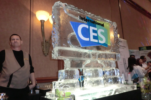 2013 INTERNATIONAL CES