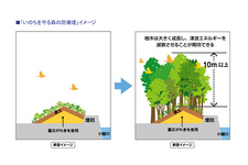 「いのちを守る森の防潮堤」イメージ