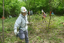 長野県原村ＥＮＥＯＳあゆみの森