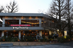 カフェレストラン「Royal Garden Cafe 青山」／ポルシェ「Porsche Cafe Aoyama」開催