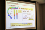 オロジック資料