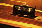 FIA世界耐久選手権（WEC）・トヨタレーシング／2014 Bahrain Preview