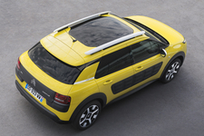 C4 CACTUS