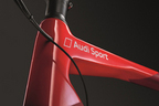 Audi Sport Racing Bike