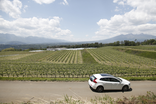 甲州ワインの底ヂカラ、知ってますか？ ～「ボルボ V40」2015年モデルで巡る山梨ワイナリーの旅～