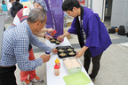 「Eco Car Cup 2015」参戦レポート
