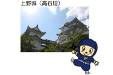 上野城(高石垣)