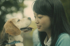 【犬好き必見！】トヨタ ドッグサークルWeb限定動画『Smile Again』公開