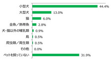 飼っているペットの種類は？（回答数：216）