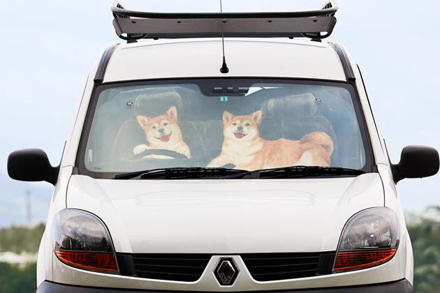 ワンコが車内で待っている サンシェードならぬ ワンシェード 発売 画像ギャラリー No 1 業界先取り 業界ニュース 自動車ニュース22国産車から輸入車まで Mota