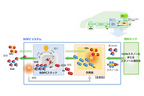 バイオエタノールから発電した電気で走行する燃料電池システム「e-Bio Fuel-Cell」