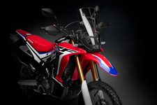 CRF250 RALLY