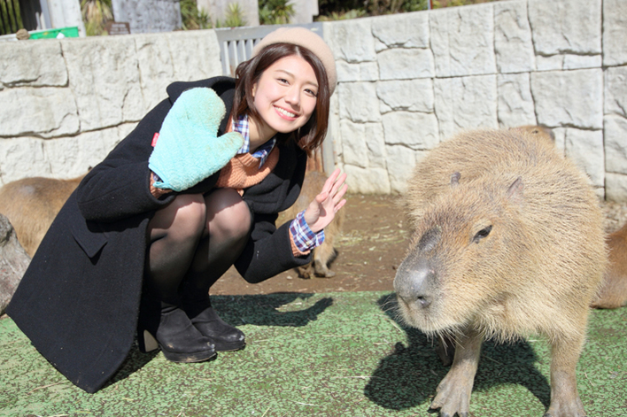 藤木由貴とカピバラ