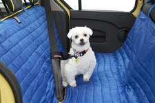 限定車ルノー カングー ウィズ ペット