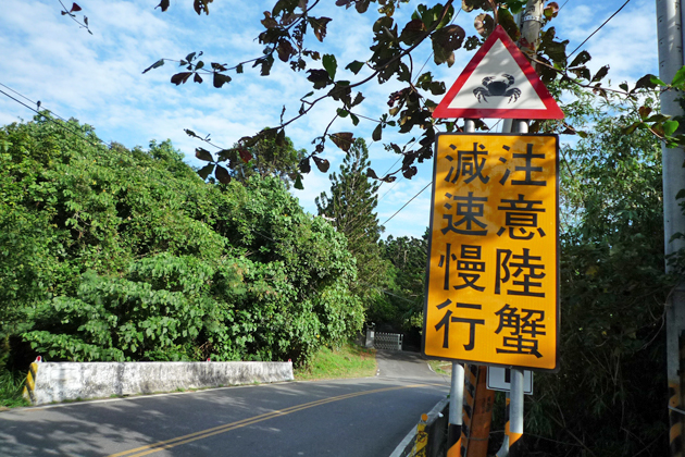 イマイ的世界の道路から 台湾編 今井優杏のコラム 画像ギャラリー No 7 特集 Mota