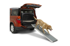 Dog Friendly Element