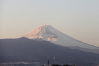 伊豆から見える富士山