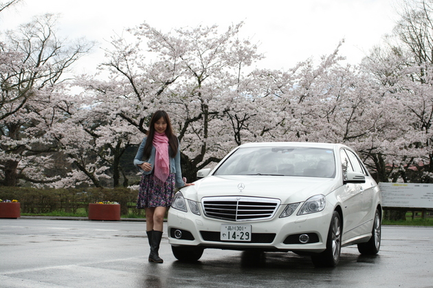 小岩井の桜