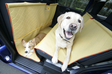 犬を抱きながら運転している人って違反じゃないの 教えてmjブロンディ Mota