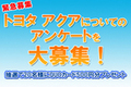 【新型ハイブリッドカー発売記念！】「トヨタ アクアってどう思う！？」みんなのアンケートを大募集！