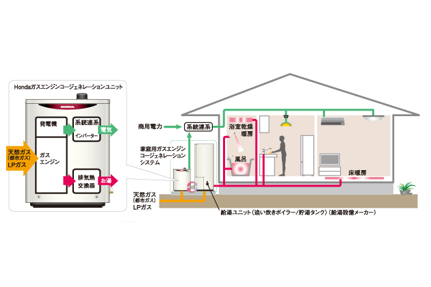 THE NEXTALK ホンダ 渡邉生 インタビュー